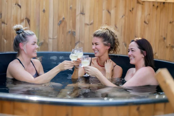 Sauna, Koldvandskar & Spa