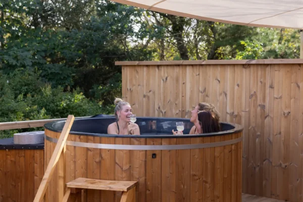 Sauna, Koldvandskar & Spa - Image 2